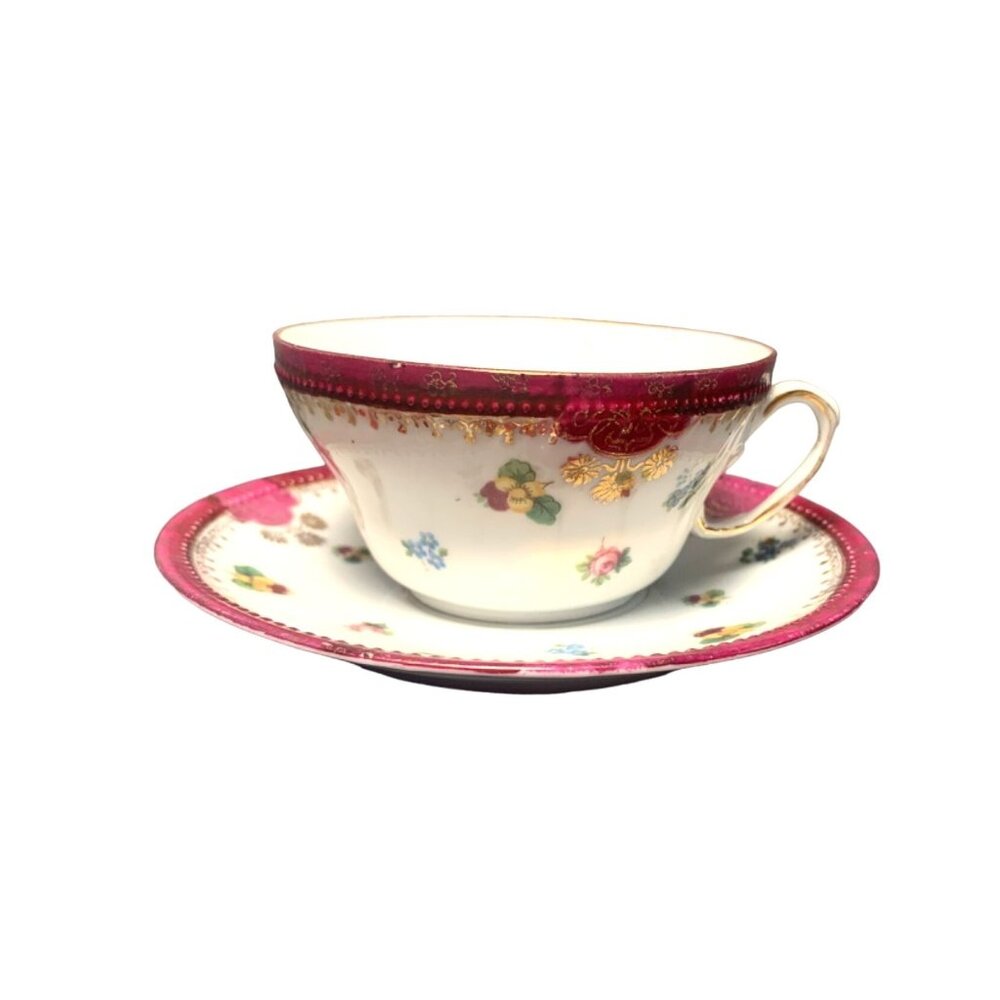 Vintage Victoria Austria Floral Teacup & Saucer Set Porcelain China